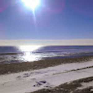 Meet your Posher, Luann